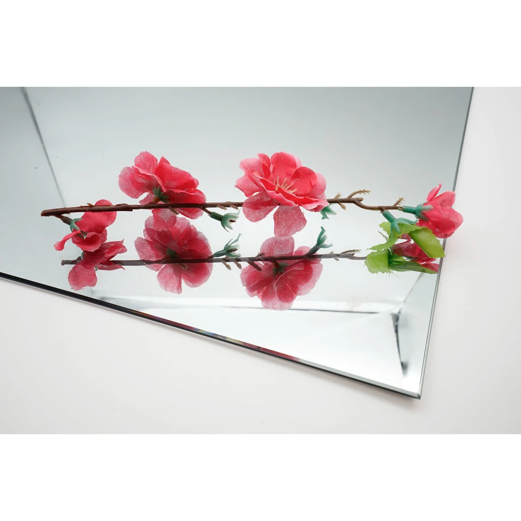 Irregular Shape Bevel Edg Silver Mirror Glass